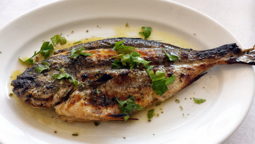 Dorada for Lunch